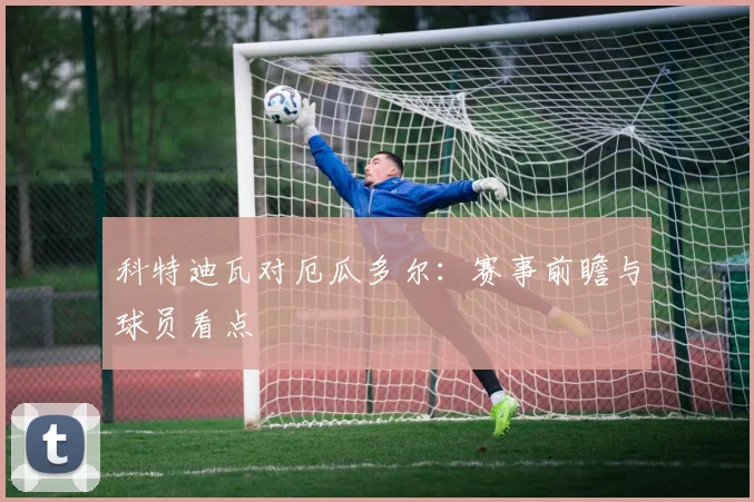 科特迪瓦对厄瓜多尔：赛事前瞻与球员看点
