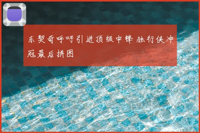 东契奇呼吁引进顶级中锋 独行侠冲冠最后拼图